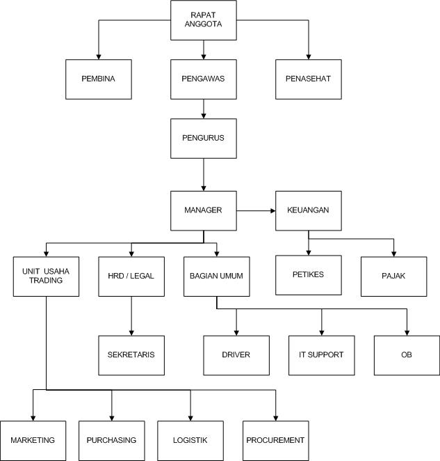 Struktur Organisasi INKOP PAMSI
